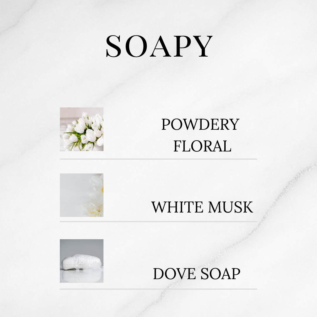 Clean & Fresh Discovery Set