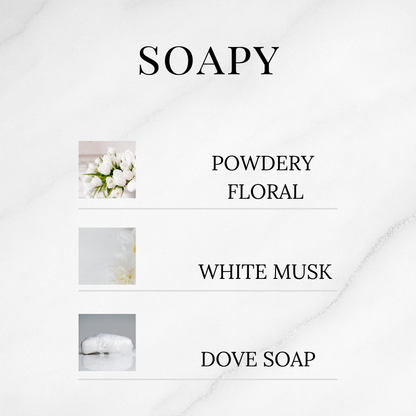 Clean & Fresh Discovery Set