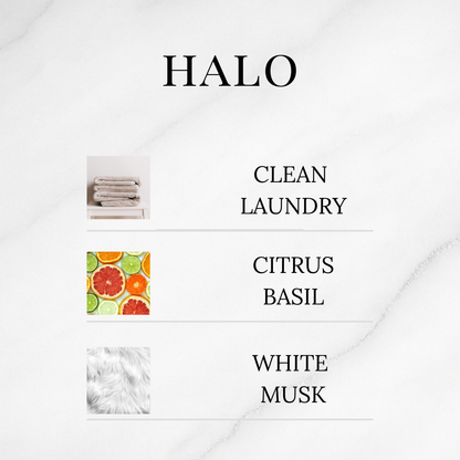 Clean & Fresh Discovery Set
