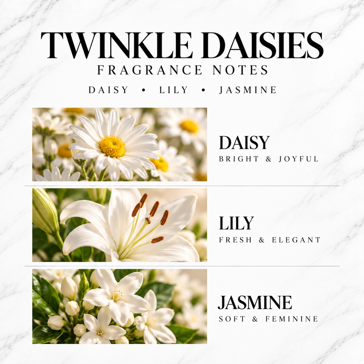 Twinkle Daisies