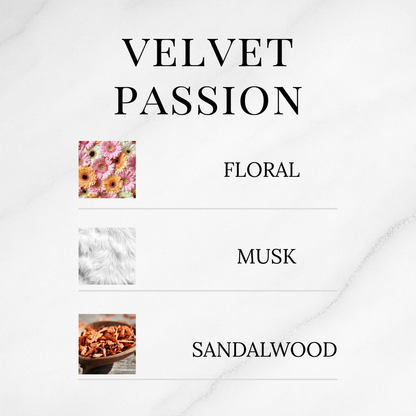 Sensual Discovery Set